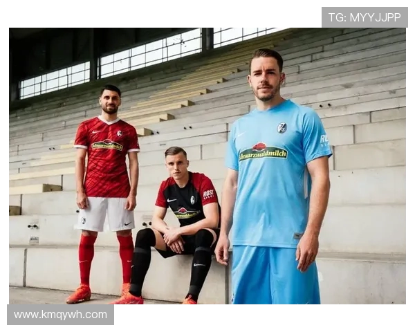 德甲联赛中所有参赛球队概览与历史表现统计